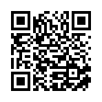 大理百润文化传播有限公司移动站二维码