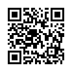 德安瑞虹运输有限公司移动站二维码