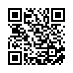 麻栗坡县琪德进出口有限公司移动站二维码