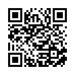 廊坊瓷风电子商务有限公司移动站二维码