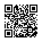 衡东风火商贸有限公司移动站二维码