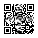 泰安辉阳信息咨询有限公司移动站二维码