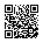 大庆闪电汽车租赁有限公司移动站二维码