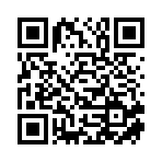 上海平行光信息科技有限公司移动站二维码