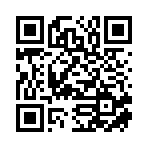 湖南瞬恒汽车服务有限公司移动站二维码