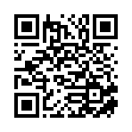 新宁县飞扬商贸有限公司移动站二维码