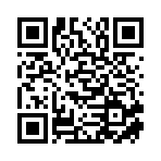 新宁县鸿盛网络科技有限公司移动站二维码