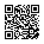 桃江县洲欣维修有限公司移动站二维码