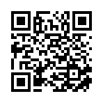 银川市西夏区启迪乐园艺术培训中心有限公司移动站二维码