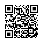 山东洪企人力资源有限公司移动站二维码