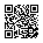 新野县德磊建筑安装有限公司移动站二维码