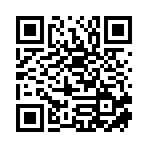 岳阳县哈基米科技有限公司移动站二维码