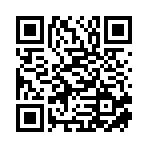 师宗诚悦劳务服务有限公司移动站二维码