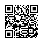 聊城闪电换新能源科技有限公司移动站二维码