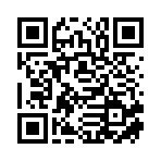 丽水鼎辉新能源有限公司移动站二维码