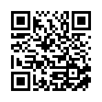 安徽盛荣海运有限公司移动站二维码