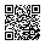 济南平艺文化艺术品有限公司移动站二维码