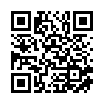 芜湖市初一网络科技有限公司移动站二维码