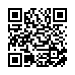 上海域飞扬货运代理有限公司移动站二维码