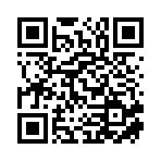 智行时代国际供应链（山东）有限公司移动站二维码