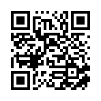 广州大盈工程服务有限公司移动站二维码