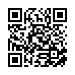 广州市品润汽车用品有限公司移动站二维码