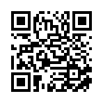 邵阳市大祥区皮知影文化艺术品有限责任公司移动站二维码