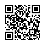 海南亿鑫晟辉投资有限公司移动站二维码