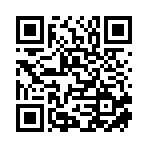 盘锦汶信金通咨询有限公司移动站二维码