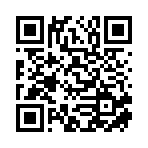 武汉市潋滟嘉商贸有限公司移动站二维码