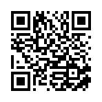 海南瑞启鑫投投资有限公司移动站二维码