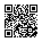 临沂路顺汽车检测有限公司移动站二维码