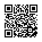 陕西宏美领璞商贸有限公司移动站二维码