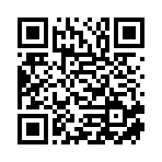 勉县京途汽车服务有限公司移动站二维码