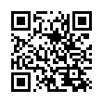 绥芬河市斯野汽车进出口贸易有限公司移动站二维码