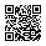 鸿泰化工科技（临沂临港经济开发区）有限公司移动站二维码