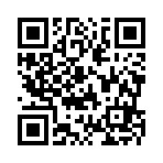 湛江市德轩二手车有限公司移动站二维码