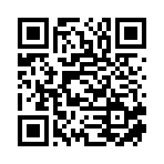 大连瑞智通船舶工程有限公司移动站二维码