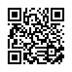 衡阳市笨袅供应链有限公司移动站二维码