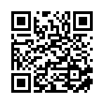 临沂盛友国际贸易有限公司移动站二维码