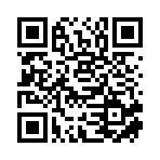 洞口灵灵科技有限公司移动站二维码