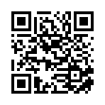 临沂派格理论跨境电子商务有限公司移动站二维码