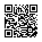 郴州市乐越汽车服务有限公司移动站二维码