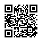 新宁县汶挑贸易有限公司移动站二维码