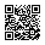 郴州市汝城县豆元枫商贸有限公司移动站二维码