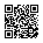 濮阳如画电子科技有限公司移动站二维码