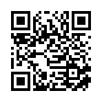 郴州市汝城县泥之桃商贸有限公司移动站二维码