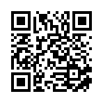 郴州市汝城县丁雁荷商贸有限公司移动站二维码