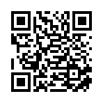 宁夏琪辉项目管理有限公司移动站二维码