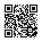 荆州童行衣路电子商务有限公司移动站二维码